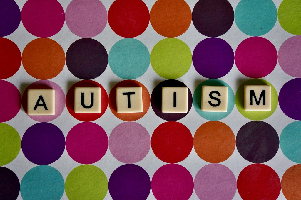 Az autizmus sokszínű világa jegy